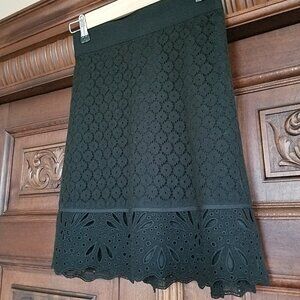 NWT Lace Skirt